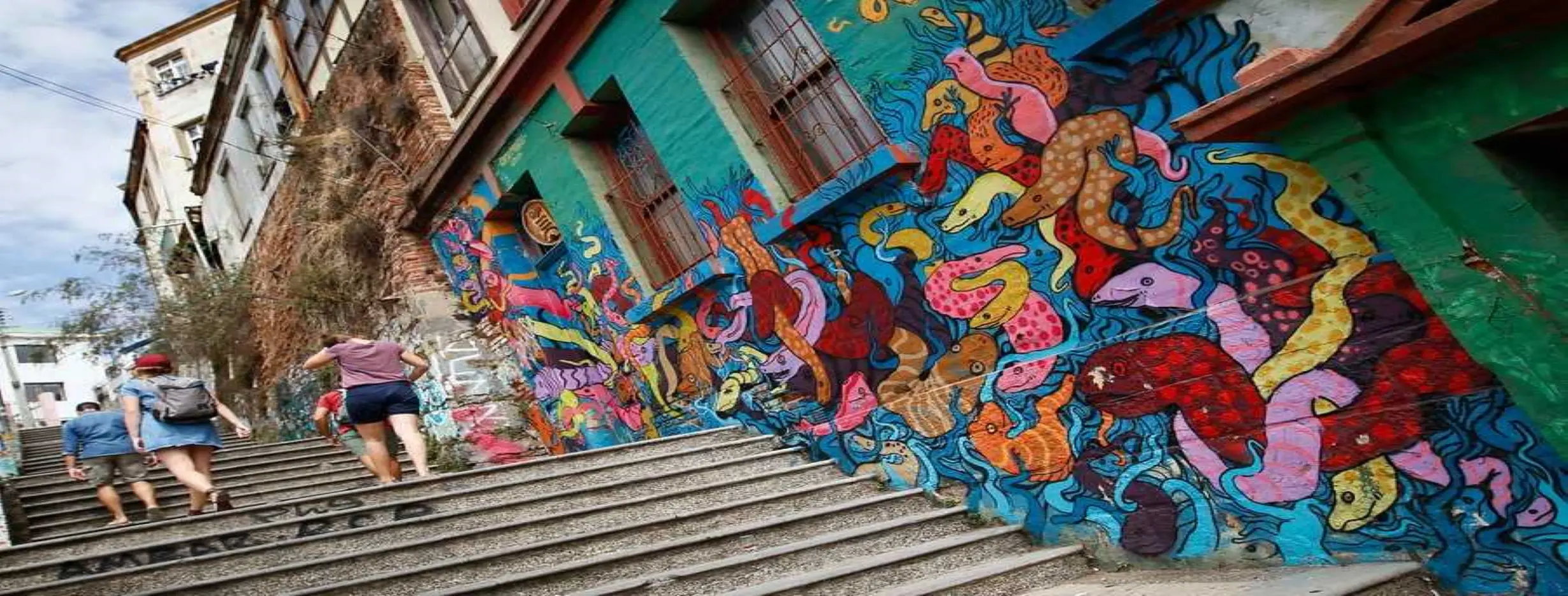 Image for A Canvas of Color